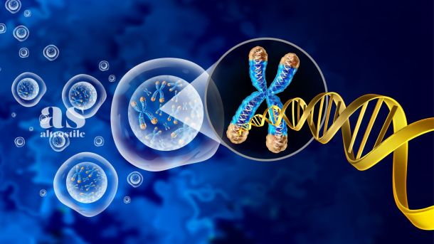 AltroStile • I telomeri producono molecole anti-età
