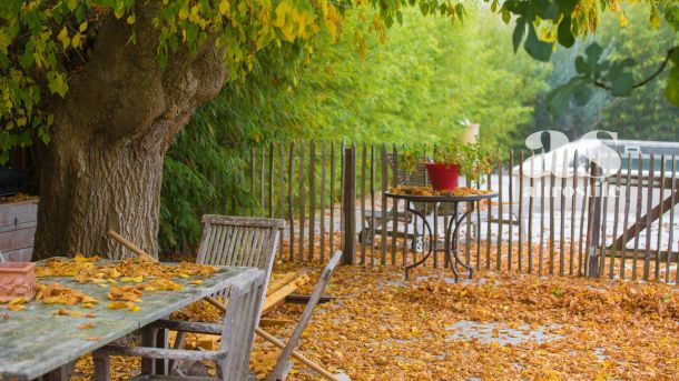 AltroStile • Non raccogliere le foglie dal giardino in autunno