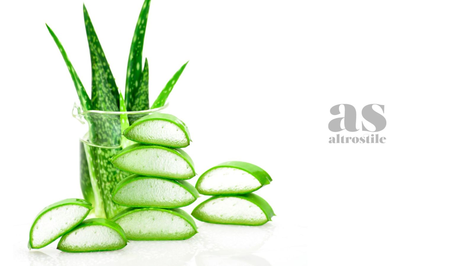 AltroStile • Aloe Vera, scopri come utilizzarla correttamente