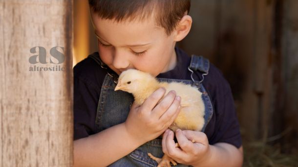 Bambini e rispetto per gli animali