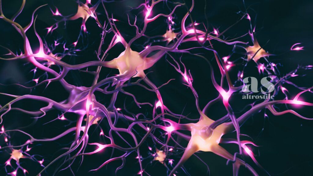 AltroStile • Neuroscienze, cosa sono e dove si applicano