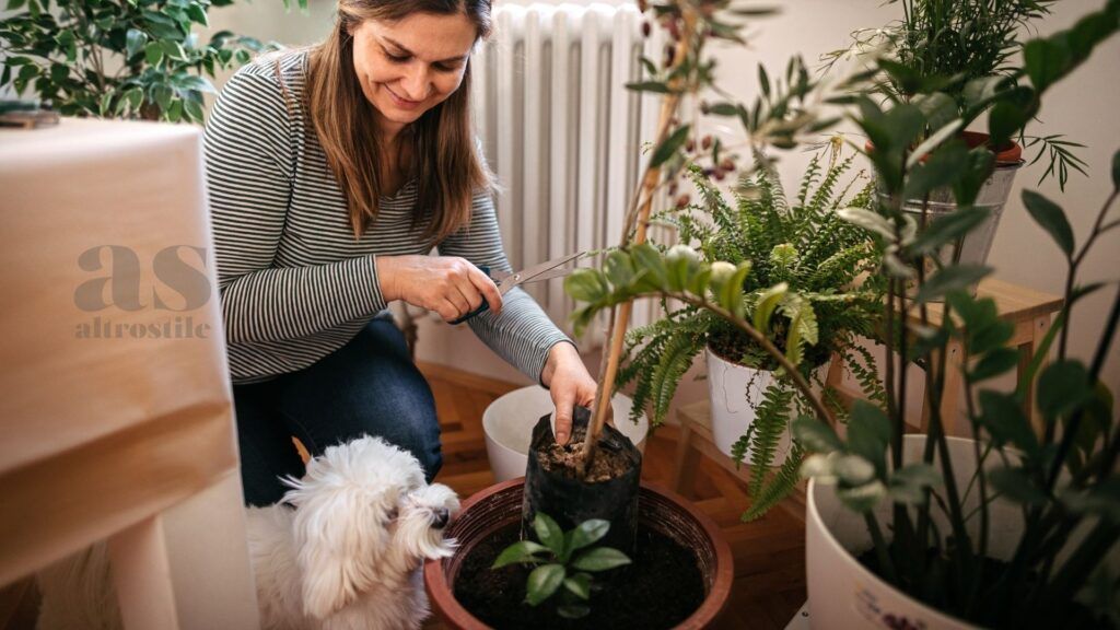 AltroStile • 5 piante sicure per animali domestici