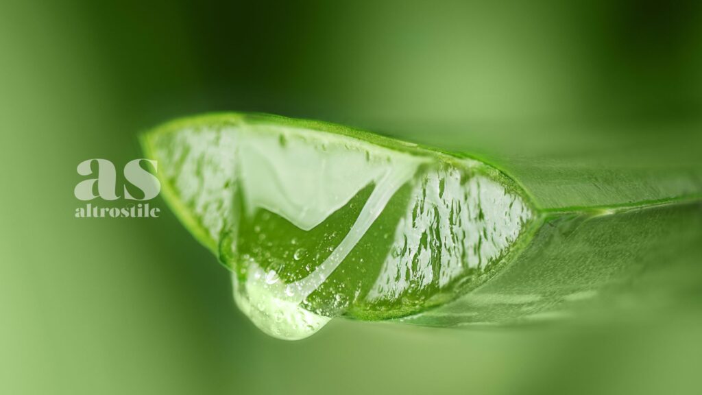 AltroStile • Aloe Vera, scopri come utilizzarla correttamente