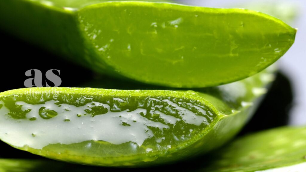 AltroStile • Aloe Vera, scopri come utilizzarla correttamente