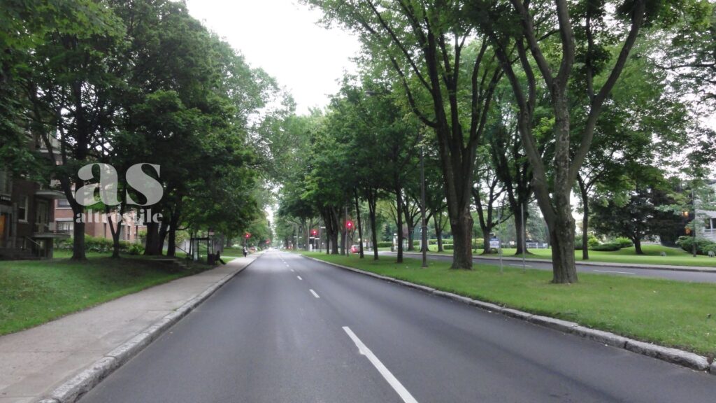 AltroStile • Il Verde che Cura: Alberi e Spazi Verdi per Salvare le Città