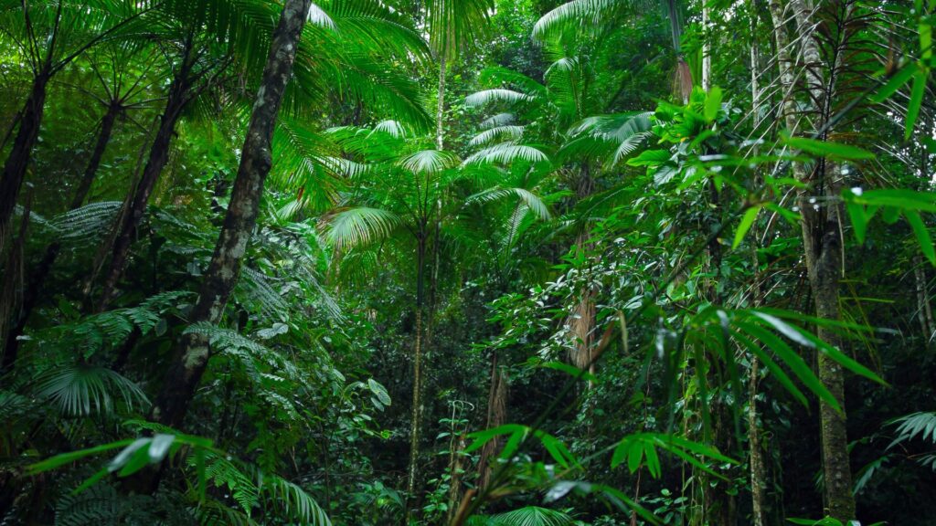 AltroStile • Il Verde che Cura: Alberi e Spazi Verdi per Salvare le Città