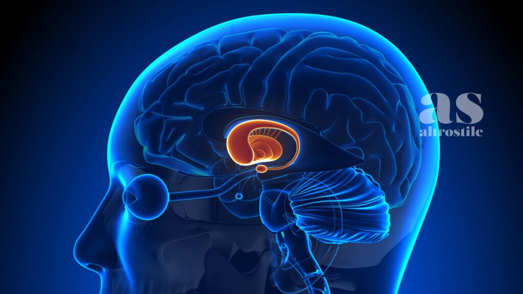 AltroStile • 5 Strategie per allenare il Cervello, oltre ai cruciverba