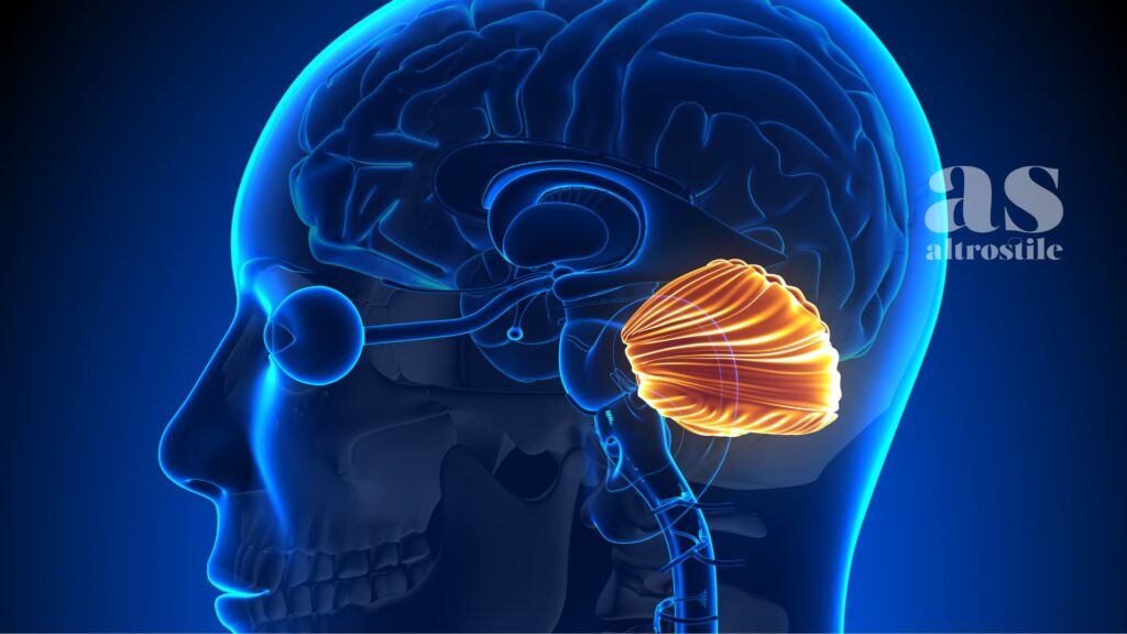 AltroStile • 5 Strategie per allenare il Cervello, oltre ai cruciverba