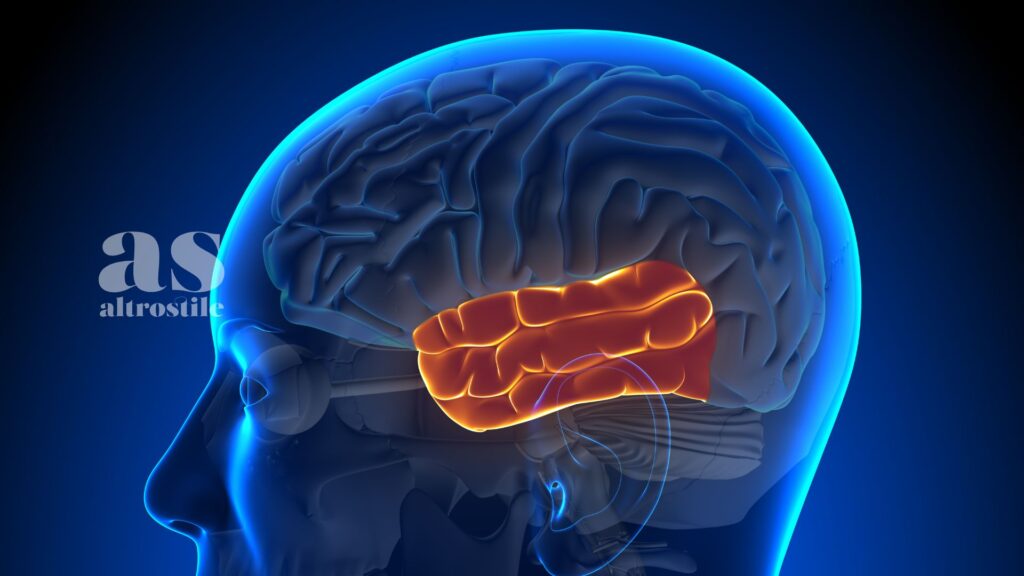 AltroStile • 5 Strategie per allenare il Cervello, oltre ai cruciverba