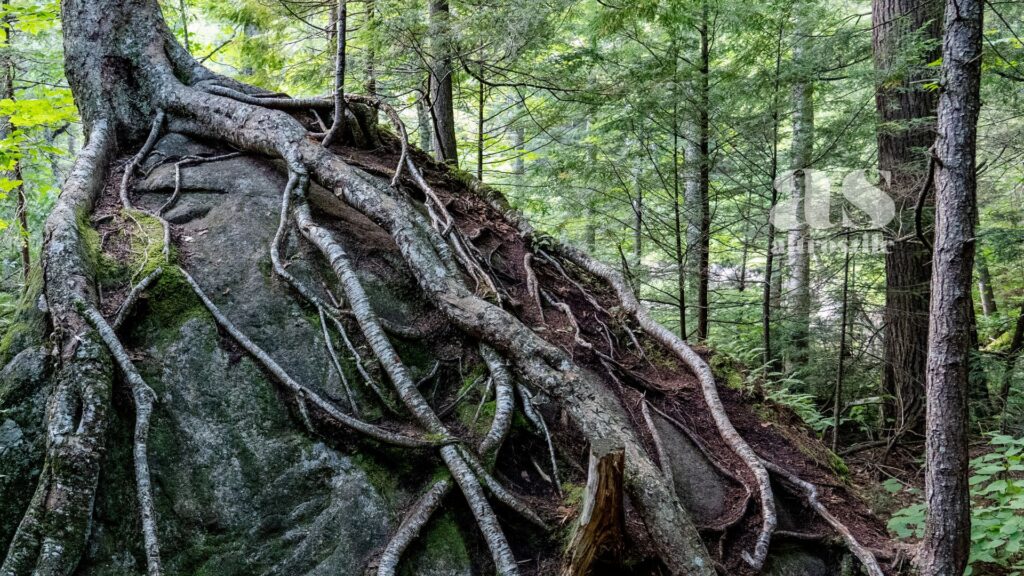 AltroStile • Resilienza: affronta così le esperienze della vita