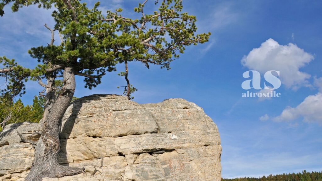 AltroStile • Resilienza: affronta così le esperienze della vita