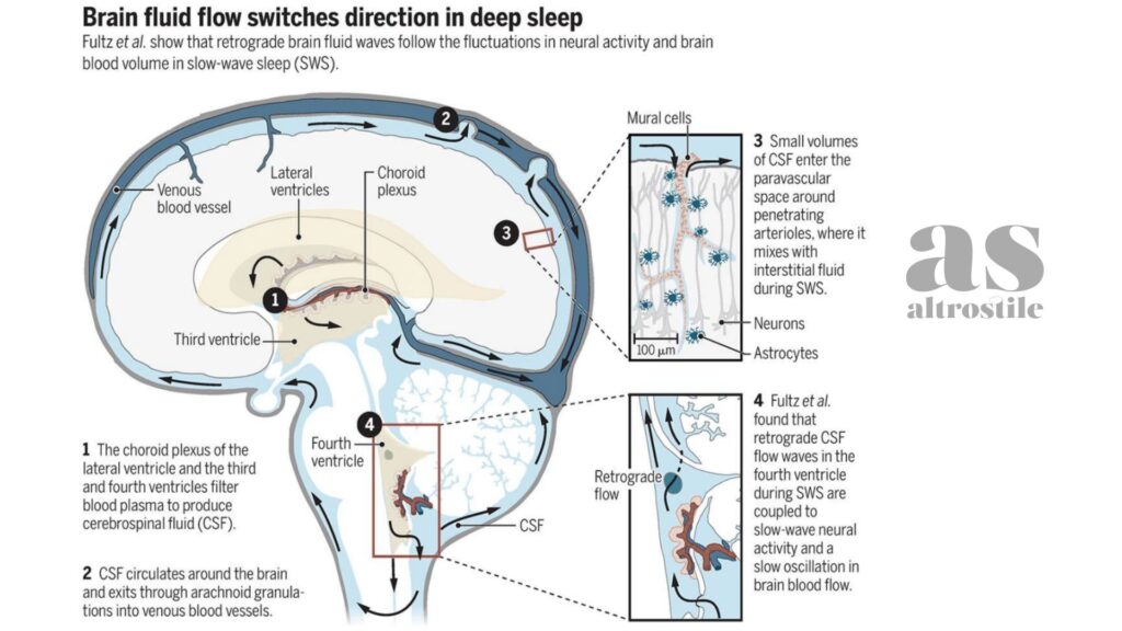 AltroStile • Deprivazione del sonno e infiammazione