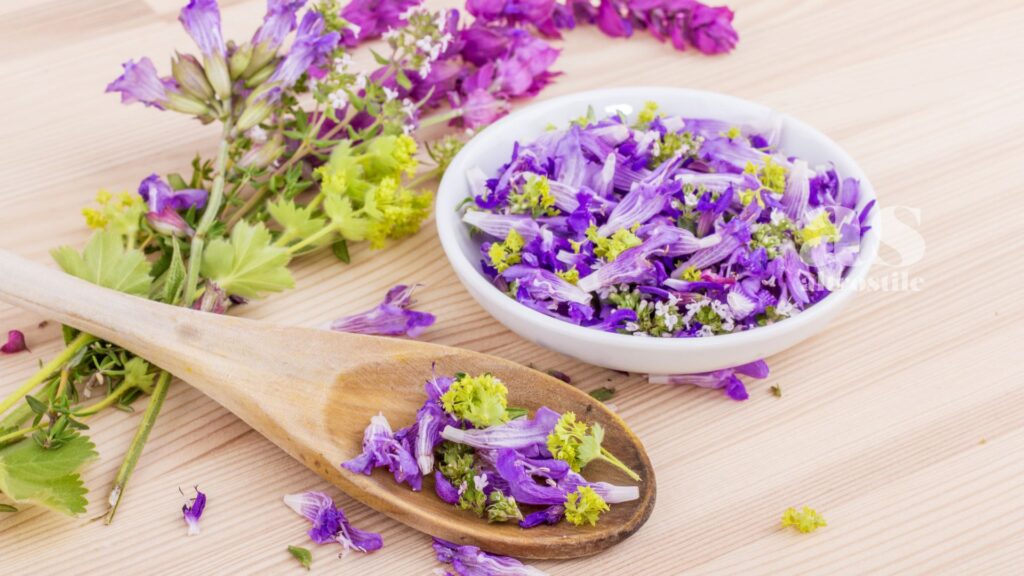 AltroStile • Fiori da mangiare: la guida completa ai fiori commestibili da coltivare in casa