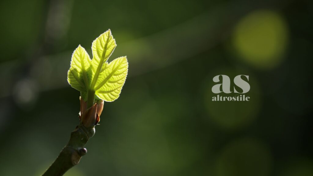 AltroStile • Foglie di fico: rimedio che aiuta a regolare la glicemia