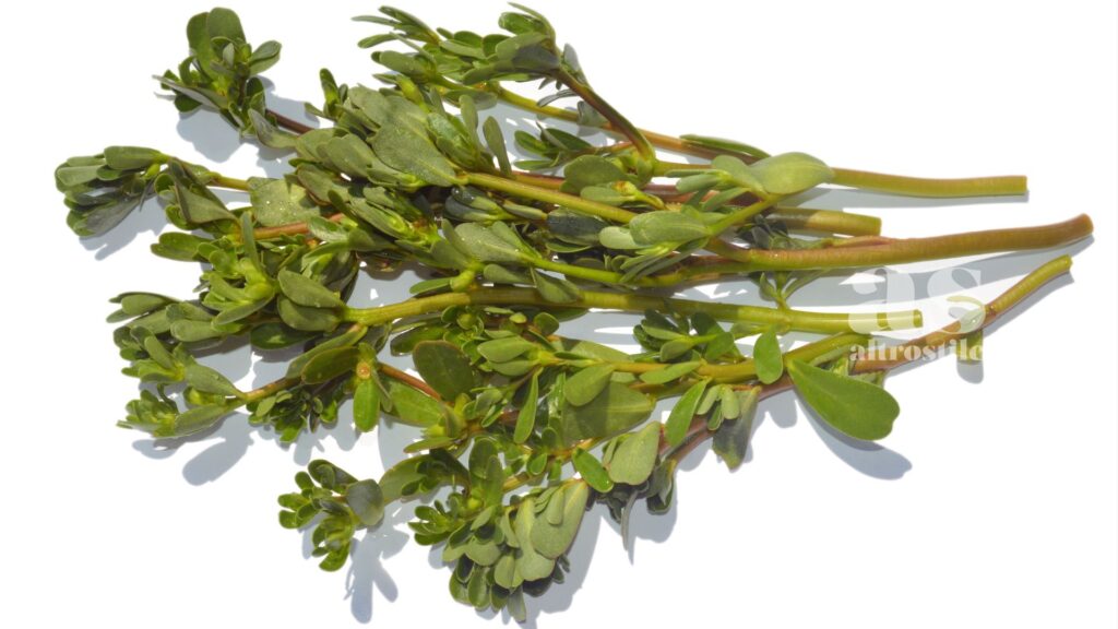 AltroStile • Portulaca: proprietà, usi e benefici di una pianta dimenticata