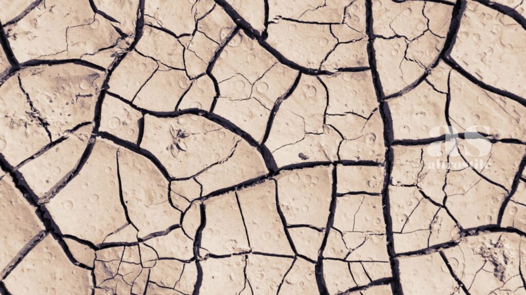 AltroStile • 7 Segnali di Disidratazione, Anche se Non Hai Sete
