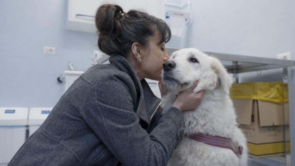 AltroStile • Pet Anatomy: dove l’amore cura e il dolore unisce