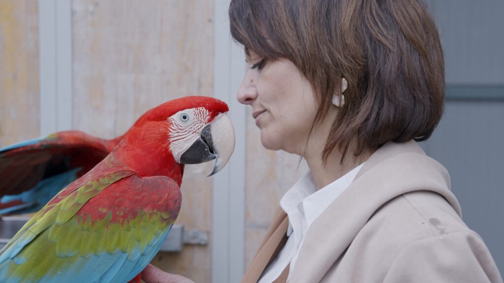AltroStile • Pet Anatomy: dove l’amore cura e il dolore unisce