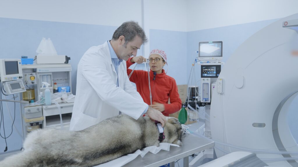 AltroStile • Pet Anatomy: dove l’amore cura e il dolore unisce