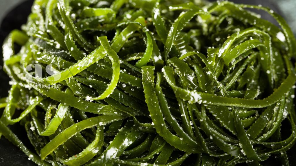 AltroStile • Alghe; Supercibo per la Salute (Anche se Non Ami il Sushi)