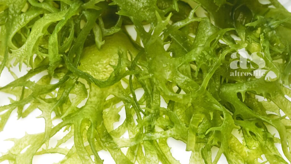 AltroStile • Alghe; Supercibo per la Salute (Anche se Non Ami il Sushi)