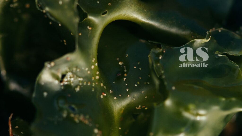 AltroStile • Alghe; Supercibo per la Salute (Anche se Non Ami il Sushi)
