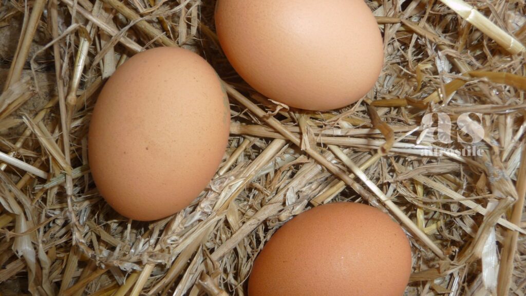 AltroStile • Rivoluzione a colazione: nutrirsi consapevolmente