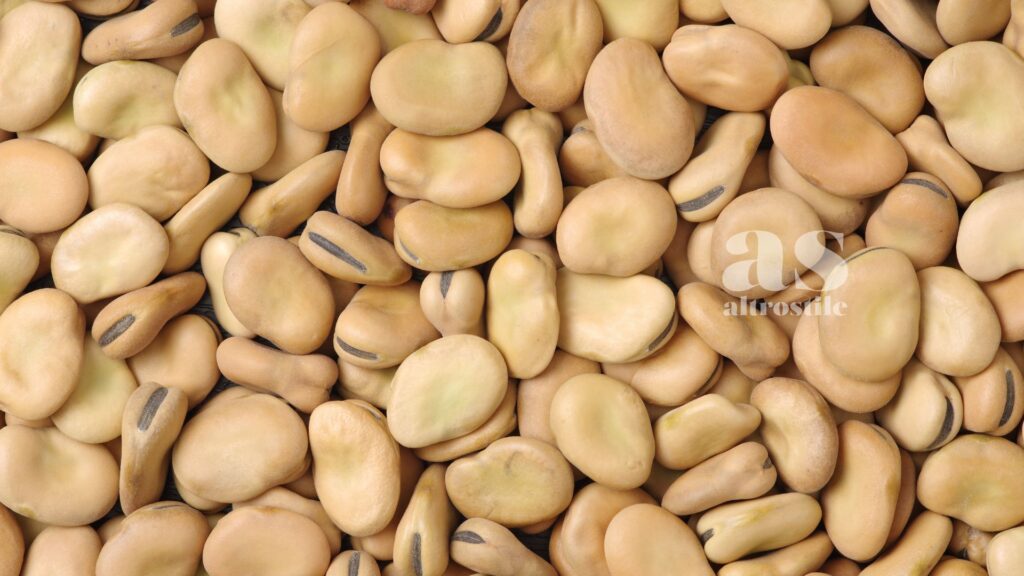 AltroStile • Fave: legume antico, moderno alleato per salute e terra