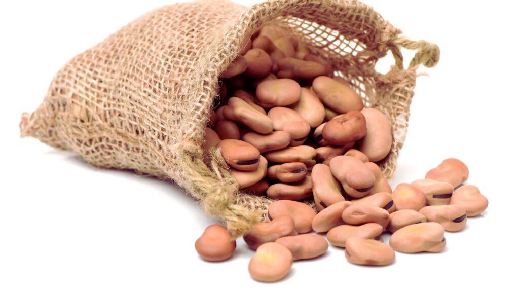 AltroStile • Fave: legume antico, moderno alleato per salute e terra