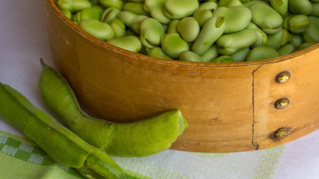 AltroStile • Fave: legume antico, moderno alleato per salute e terra