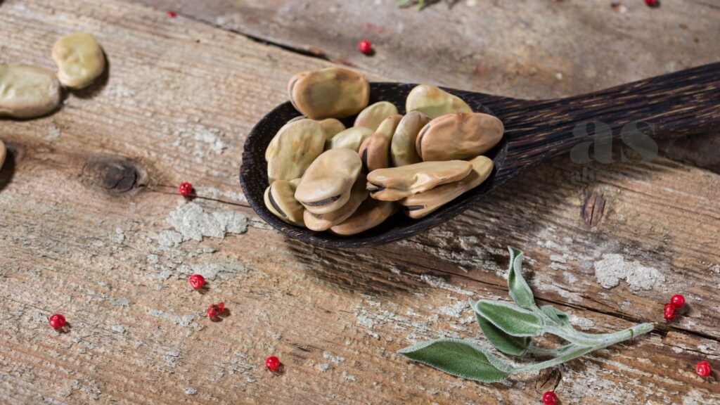 AltroStile • Fave: legume antico, moderno alleato per salute e terra