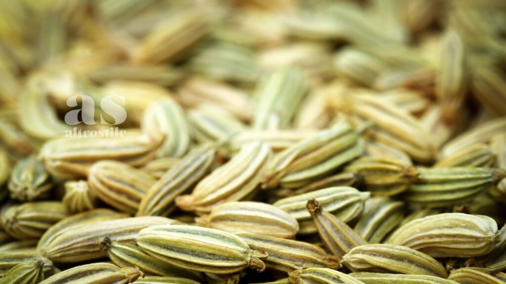 AltroStile • Semi di finocchio: alleati naturali per digestione e intestino