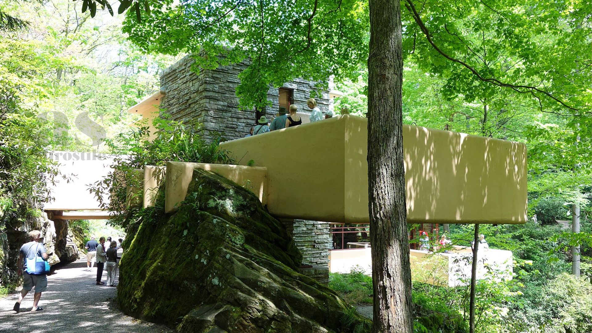 La Casa Sulla Cascata: Il Capolavoro Dell’architettura Organica