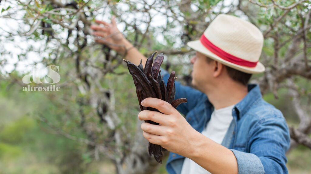 AltroStile • Carruba: Tesoro Nascosto del Sud Italia che porta Salute a Tavola