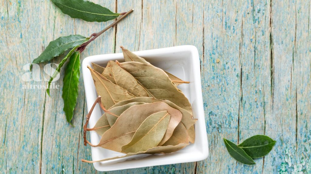 AltroStile • Foglia di Alloro: La Tisana Digestiva del Mediterraneo
