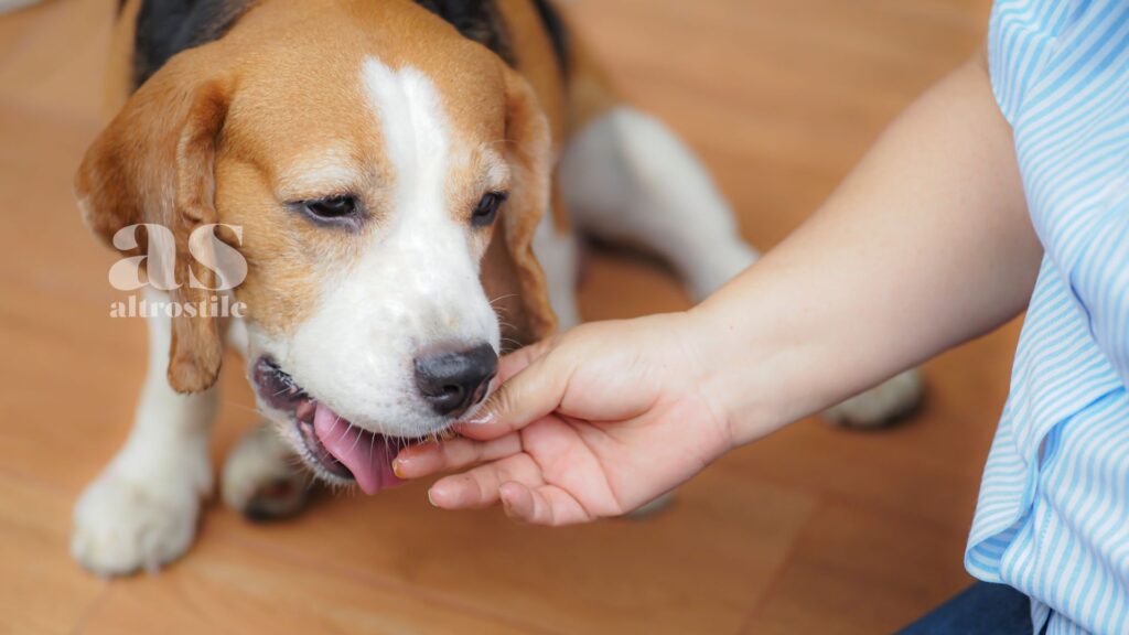 AltroStile • Bambini e rispetto per gli animali: guida etica per un futuro più empatico