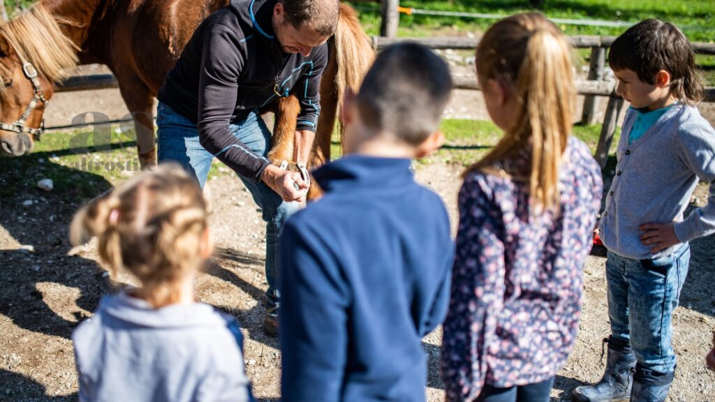 AltroStile • Bambini e rispetto per gli animali: guida etica per un futuro più empatico