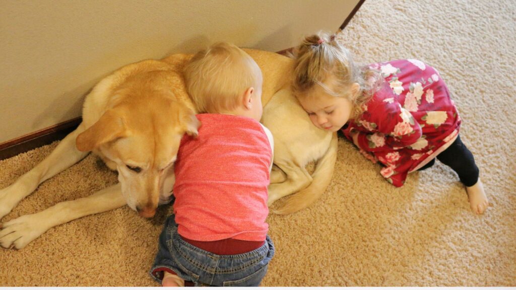AltroStile • Bambini e rispetto per gli animali: guida etica per un futuro più empatico