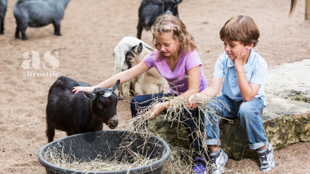 AltroStile • Bambini e rispetto per gli animali: guida etica per un futuro più empatico