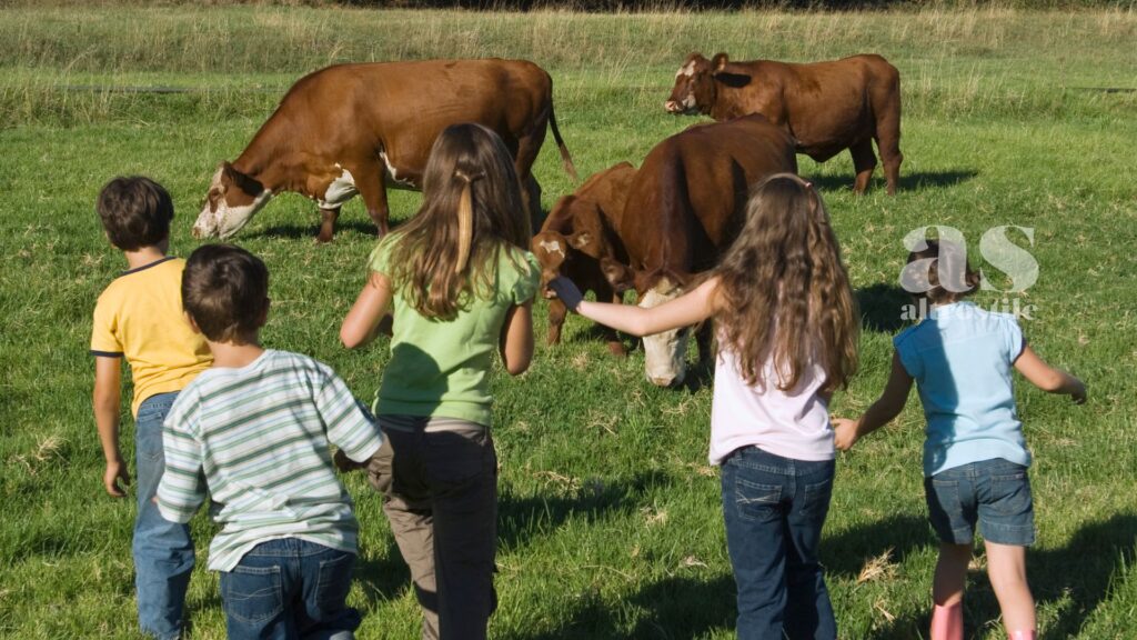 AltroStile • Bambini e rispetto per gli animali: guida etica per un futuro più empatico