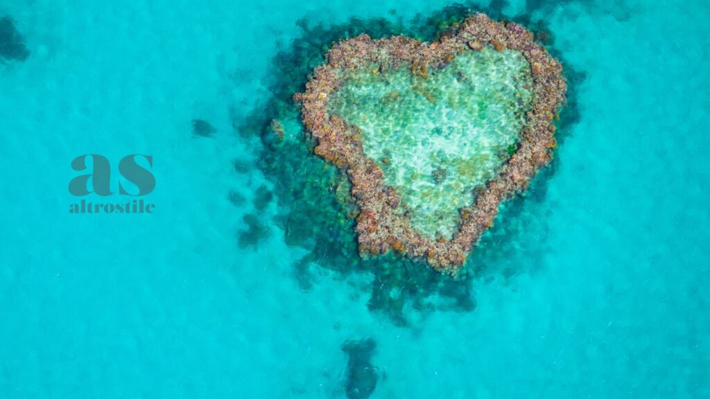 AltroStile • Grande Barriera Corallina: la moria di coralli più grave mai registrata