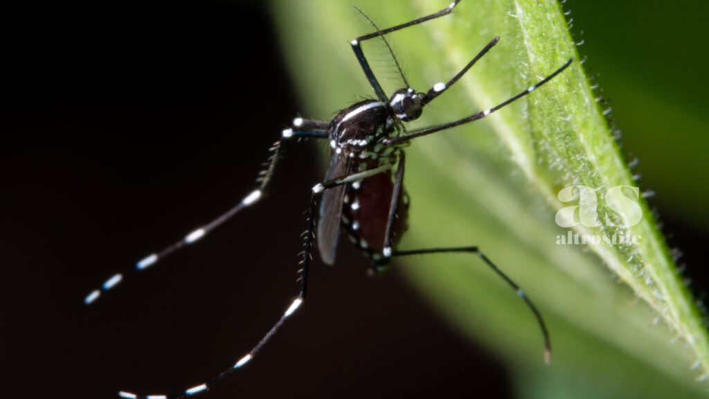 AltroStile • West Nile Virus 2025: Cosa Sapere per Proteggersi e Vivere l’Estate in Sicurezza
