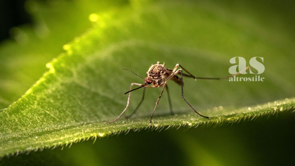 AltroStile • West Nile Virus 2025: Cosa Sapere per Proteggersi e Vivere l’Estate in Sicurezza