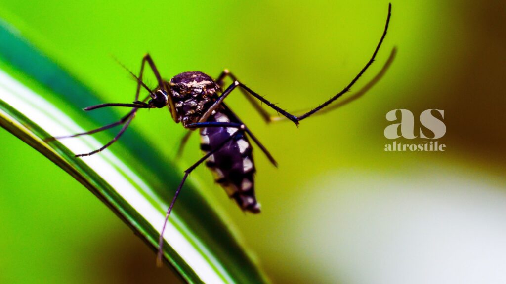 AltroStile • West Nile Virus 2025: Cosa Sapere per Proteggersi e Vivere l’Estate in Sicurezza