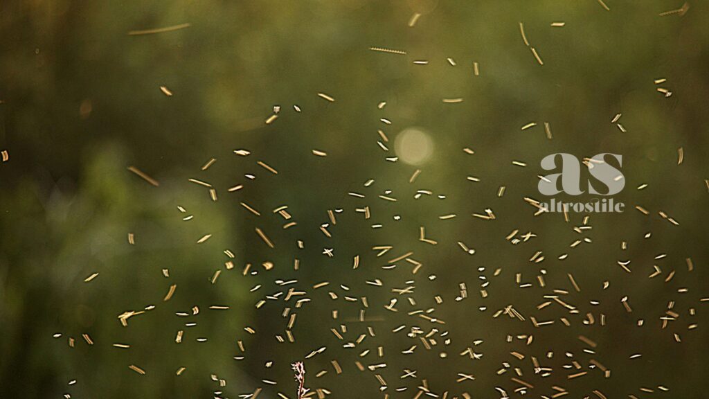 AltroStile • West Nile Virus 2025: Cosa Sapere per Proteggersi e Vivere l’Estate in Sicurezza