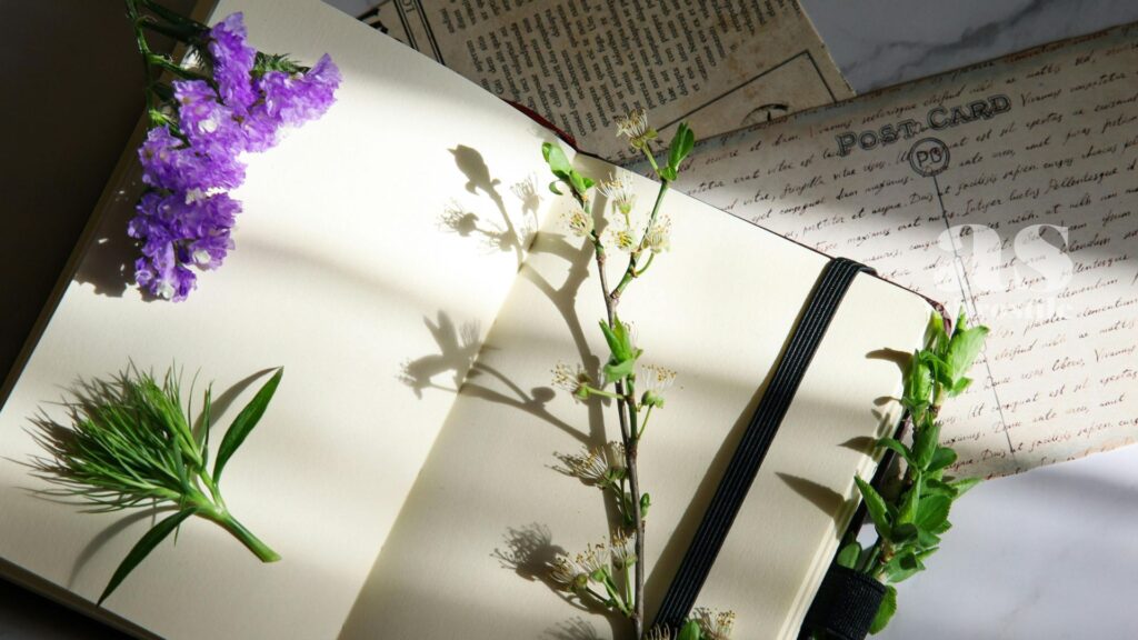 AltroStile • Nature Journaling: Riconnettersi alla Vita Semplice per Salvarsi dallo Stress