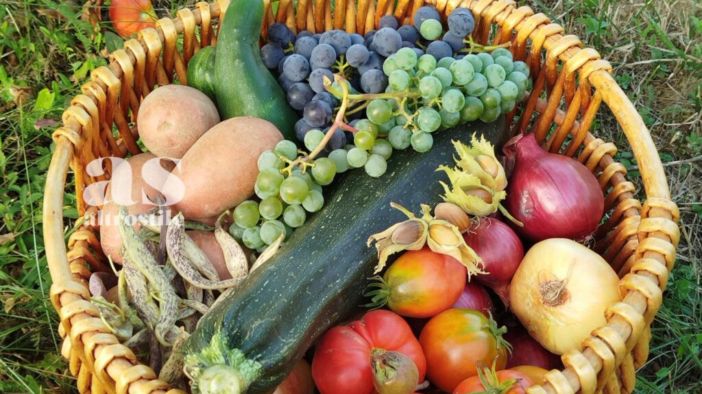 AltroStile • 5 Passi per inserire Frutta e Verdura nell'alimentazione
