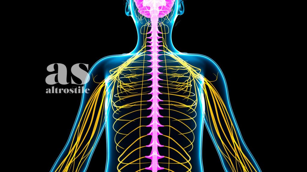 AltroStile • Asse Intestino-Cervello: il Codice Nascosto della Lucidità