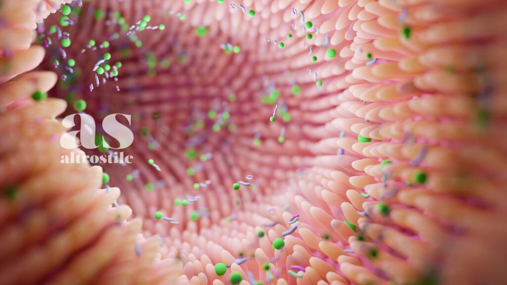AltroStile • Asse Intestino-Cervello: il Codice Nascosto della Lucidità