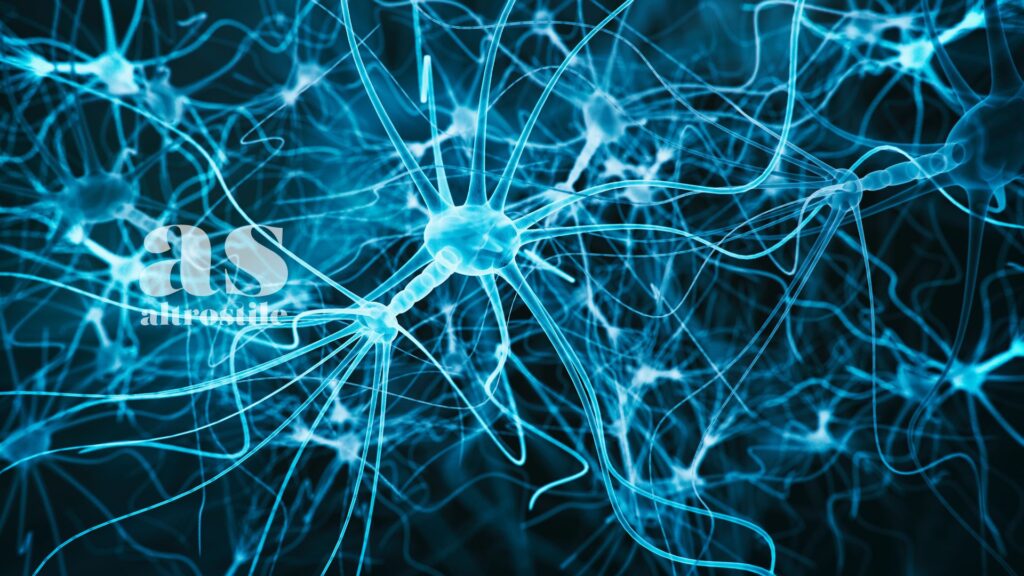 AltroStile • Asse Intestino-Cervello: il Codice Nascosto della Lucidità